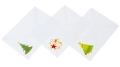 PA-KB6-278_2 kopia.webp