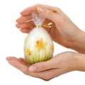 SW-WI-20_4 kopia.webp