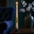SW-WI-15_5 kopia.webp