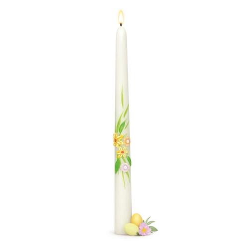 SW-WI-16_1 kopia.webp