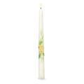 SW-WI-16_4 kopia.webp
