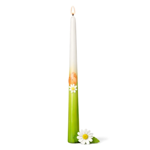 SW-WI-19_1 kopia.webp